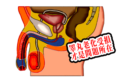 1751277668533643.gif 1751277668533643.gif