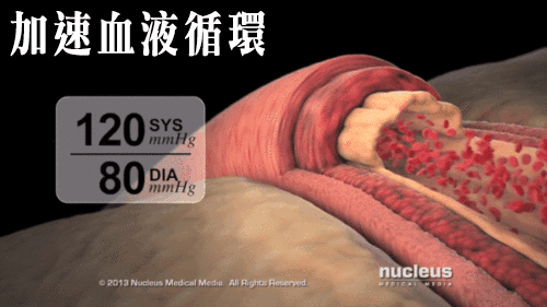 1751277863752343.gif 1751277863752343.gif